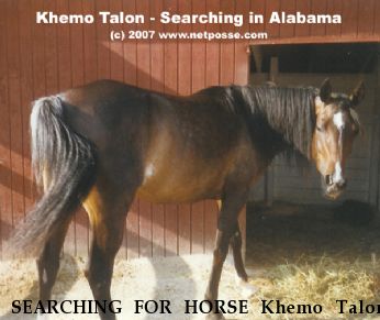 SEARCHING FOR HORSE Khemo Talon, Near Blairstown, MO, 00000